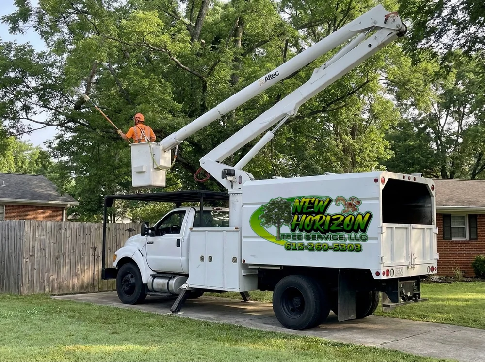 Crew member in an orange shirt working from a bucket truck in a big tree